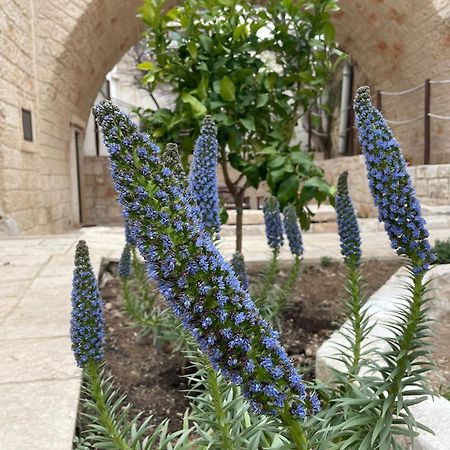 Lamanna House Polignano a Mare Ngoại thất bức ảnh