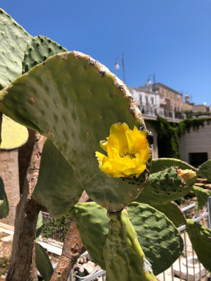 Lamanna House Polignano a Mare Ngoại thất bức ảnh
