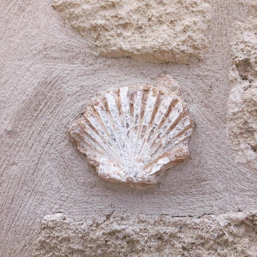 Lamanna House Polignano a Mare Ngoại thất bức ảnh
