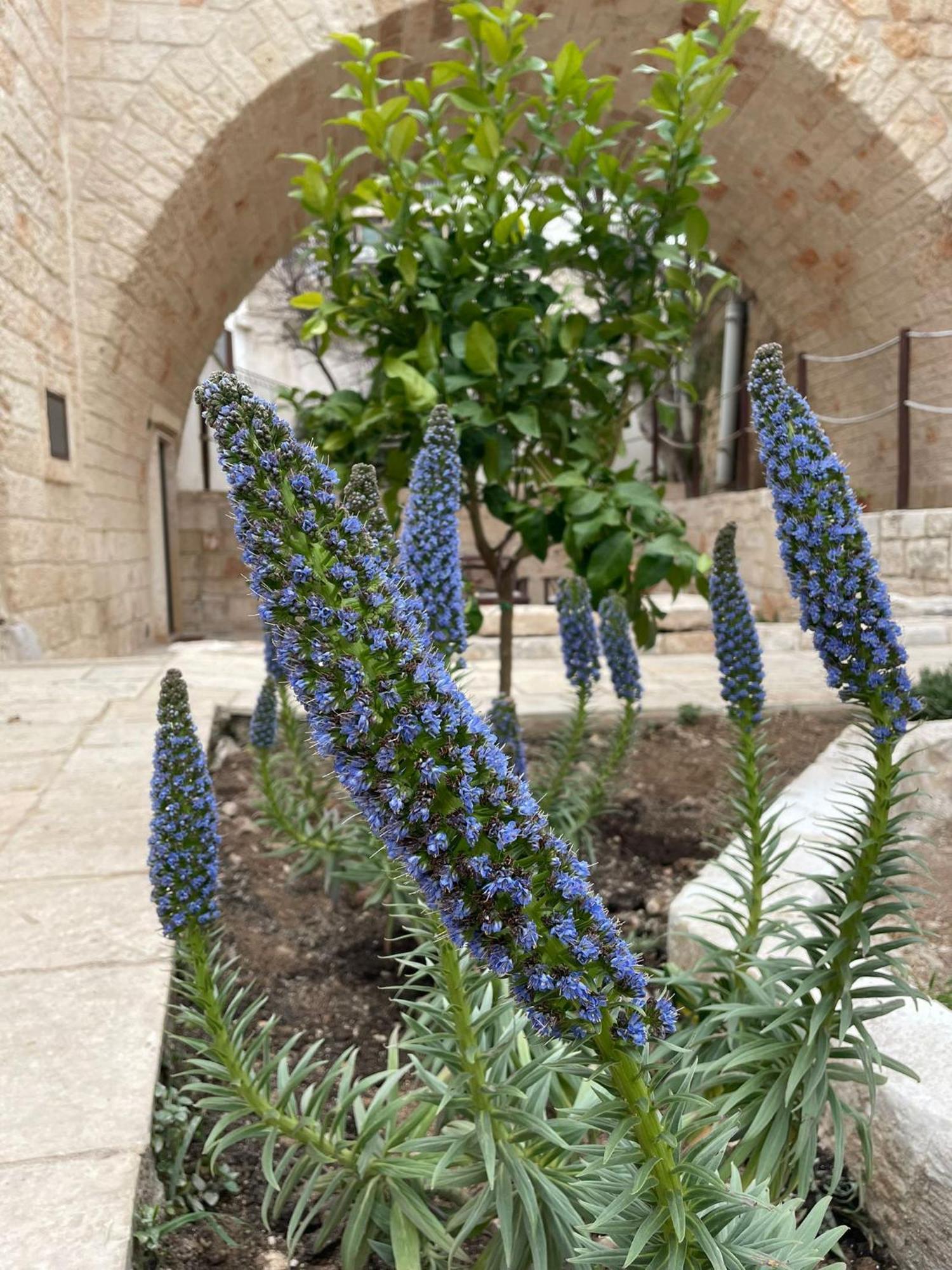 Lamanna House Polignano a Mare Ngoại thất bức ảnh